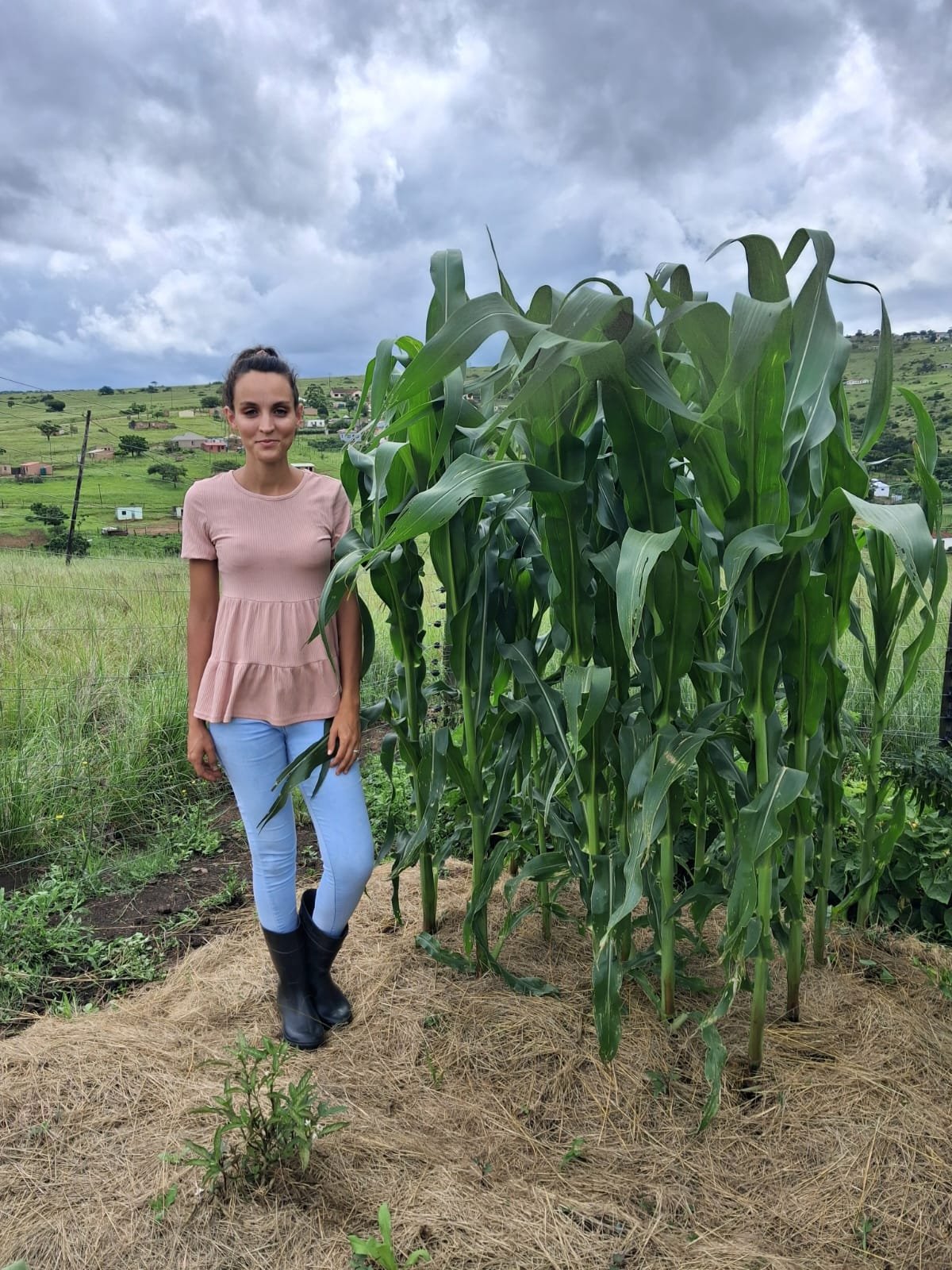 whatsapp image 2026 01 14 at 10.19.04 am